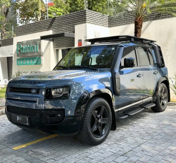 Defender P300 11