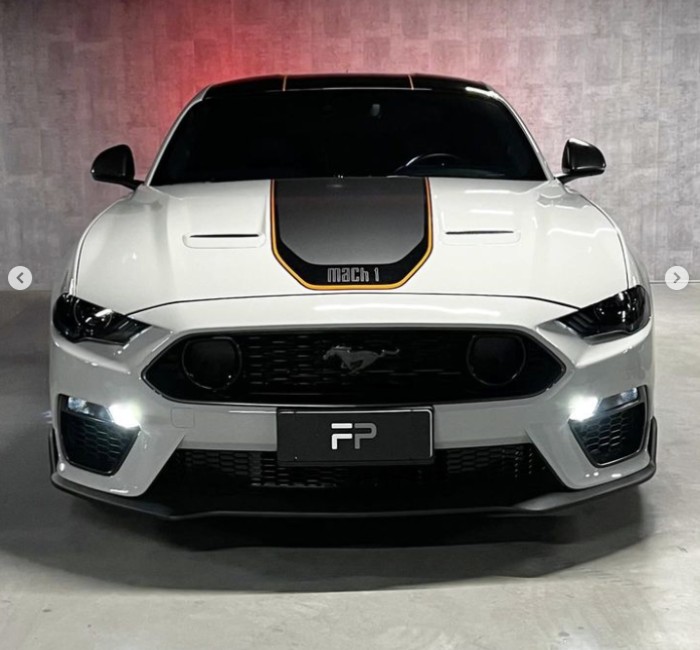Mustang Mach 1 8