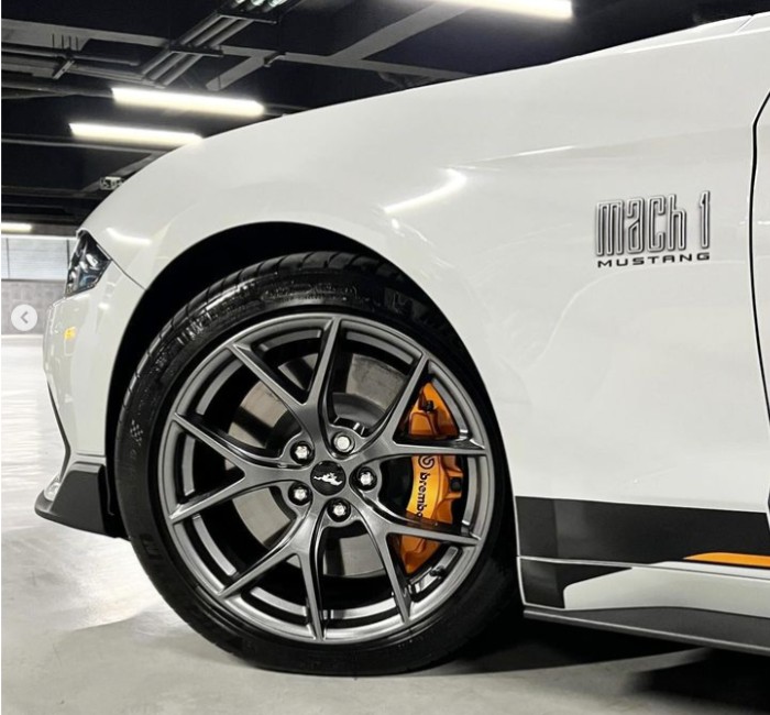Mustang Mach 1 9